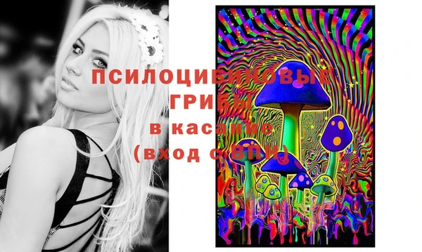 СК Касимов