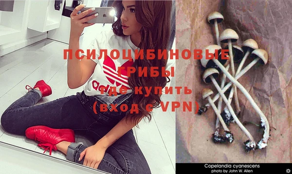 СК Касимов