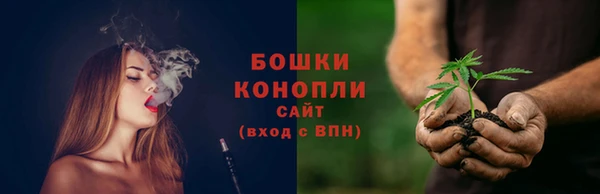 СК Касимов