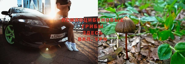 дурь Карталы
